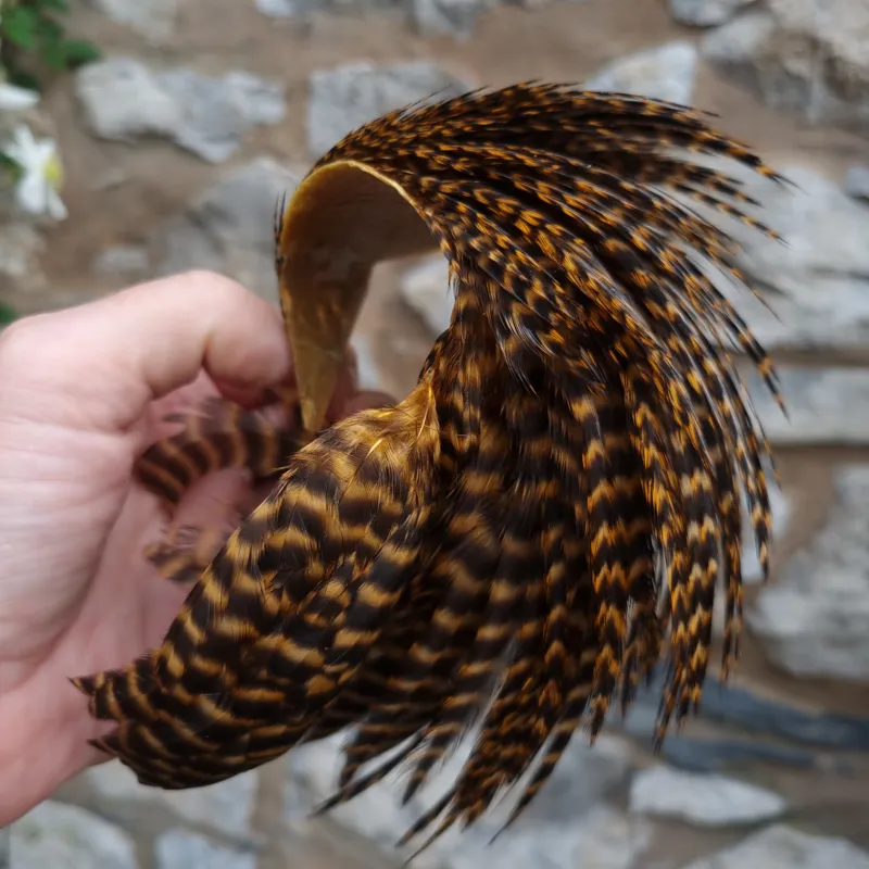 Whiting Exclusive Grizzly Hen Cape in Ginger-1